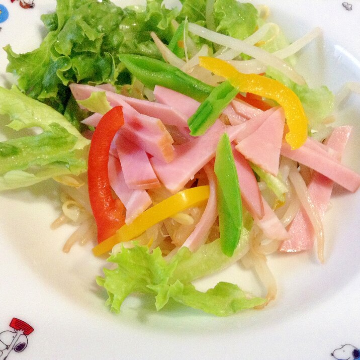 ハム・野菜サラダ